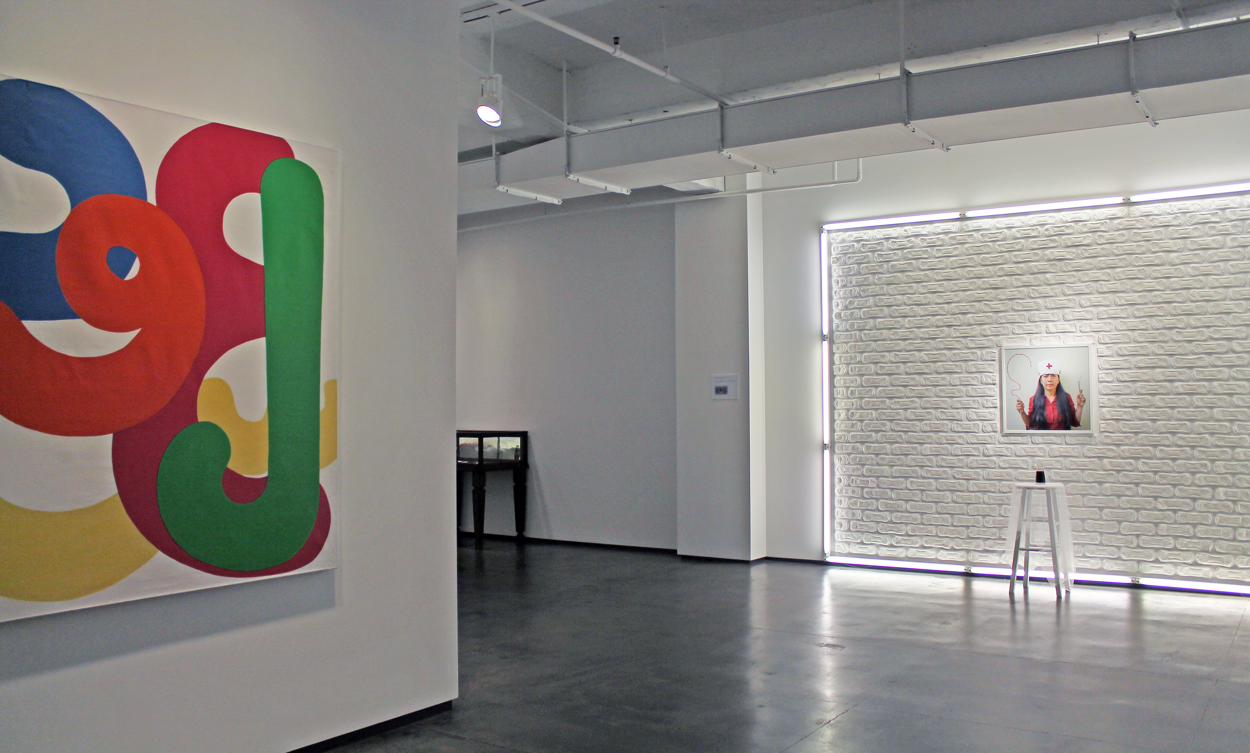 <center>Installation View of "Fertility of the Mind" at Tyler Rollins Fine Art, January 9 - February 22, 2014</center>
