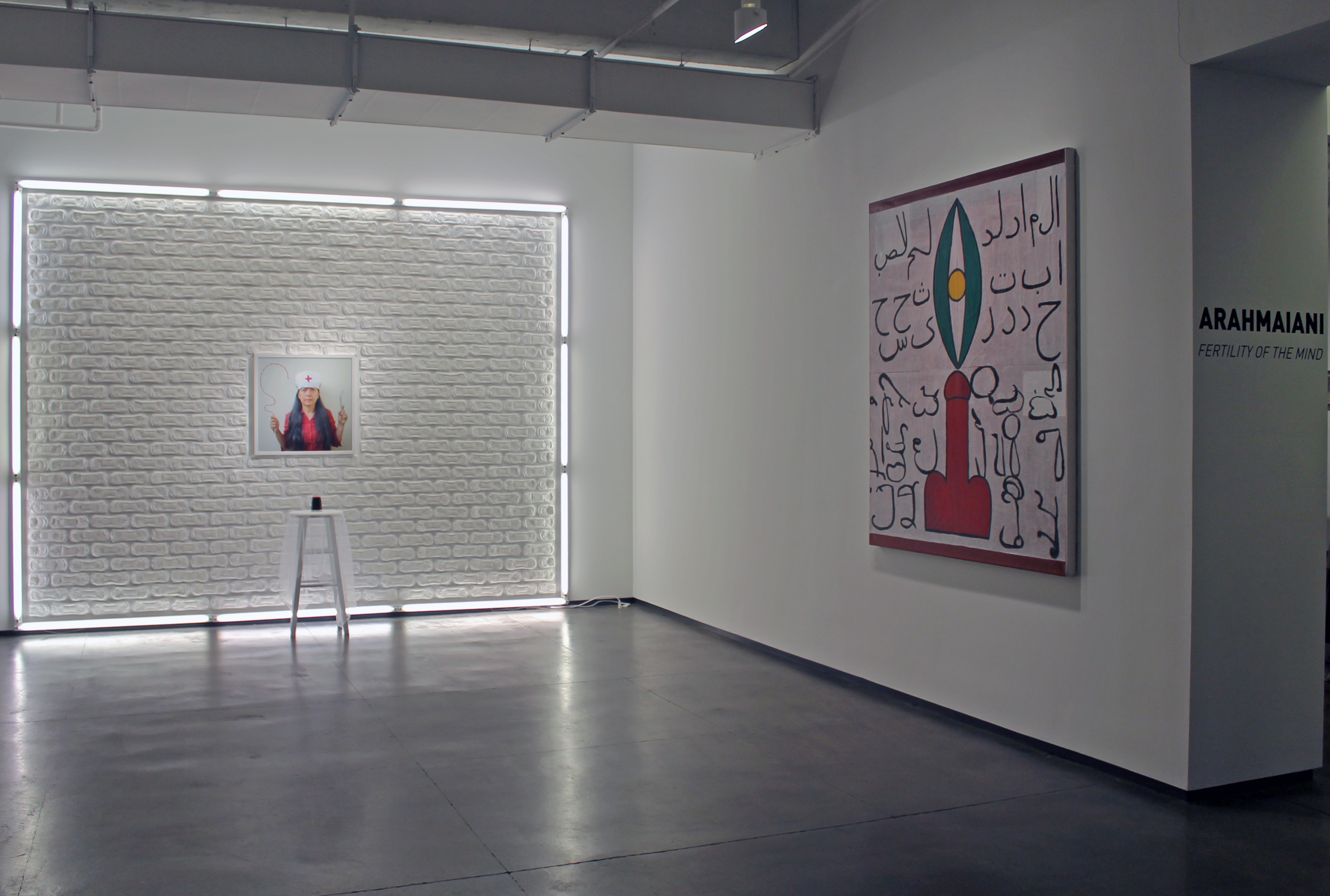 <center>Installation View of "Fertility of the Mind" at Tyler Rollins Fine Art, January 9 - February 22, 2014</center>