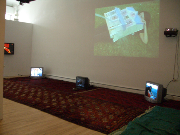 <center><em>The Taste of Others</em>
<br>Exhibition installation view
<br>Curated by Leeza Ahmady at apexart, New York, 2005</center>